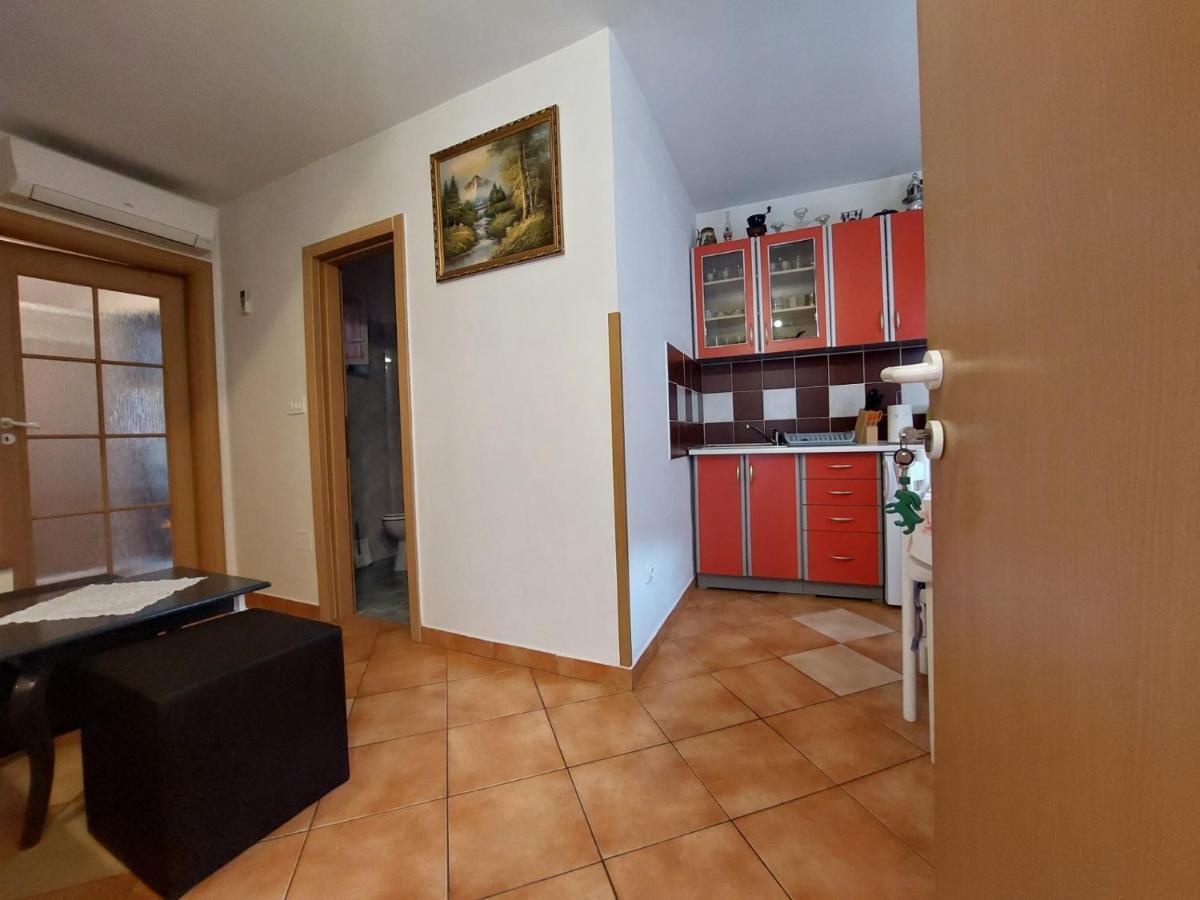 Leona Apartment Novigrad  Luaran gambar